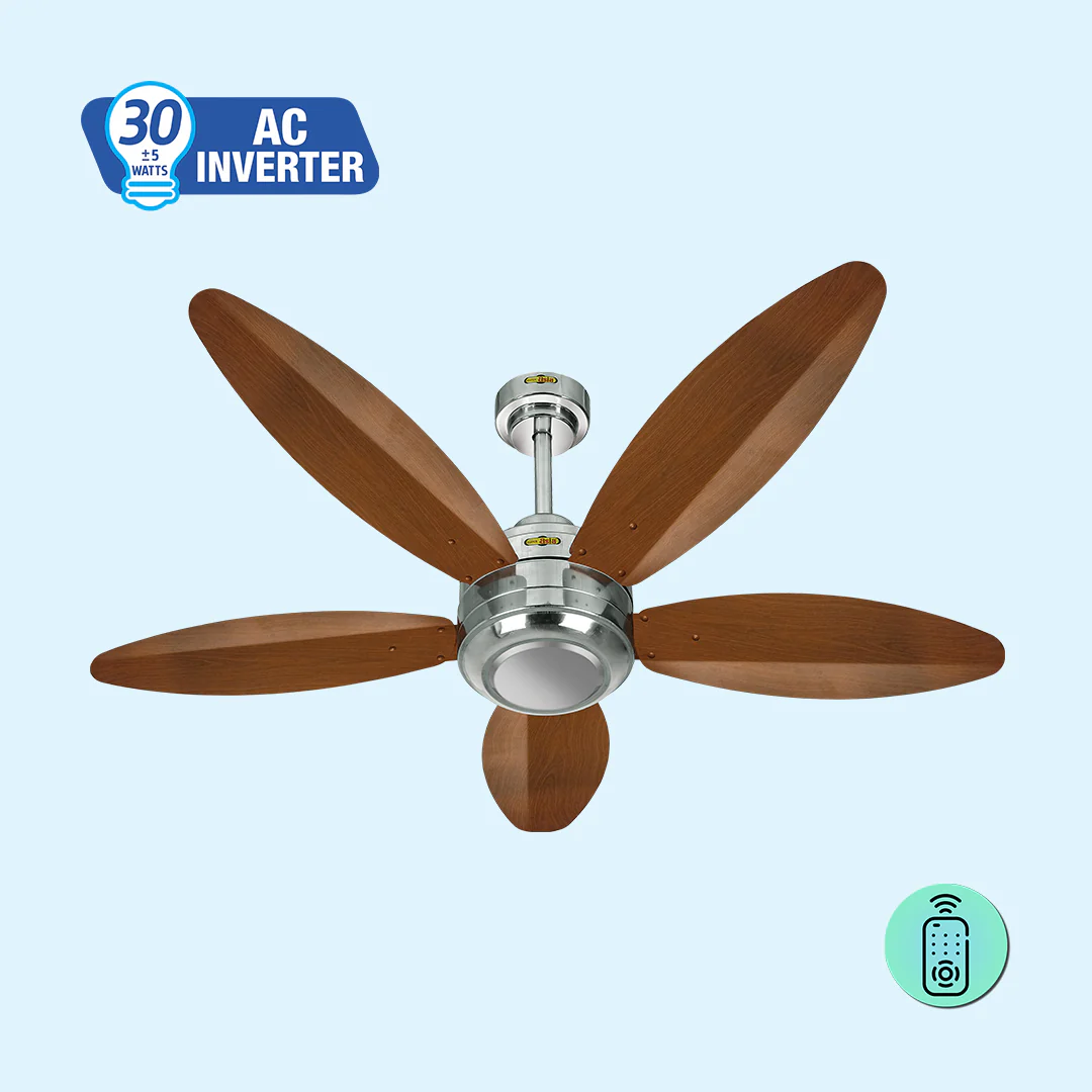 Fans