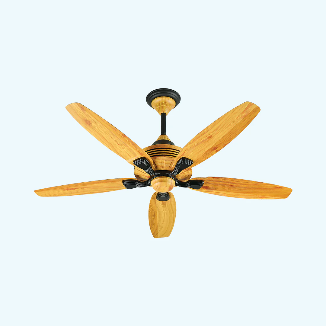 GRACE FAN