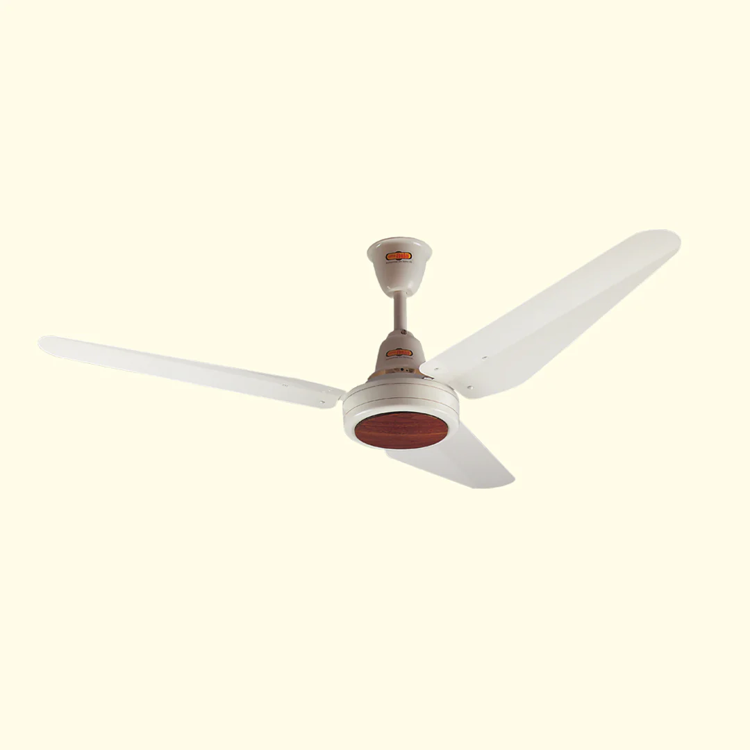 NEW CLASSIC FAN - Image 3